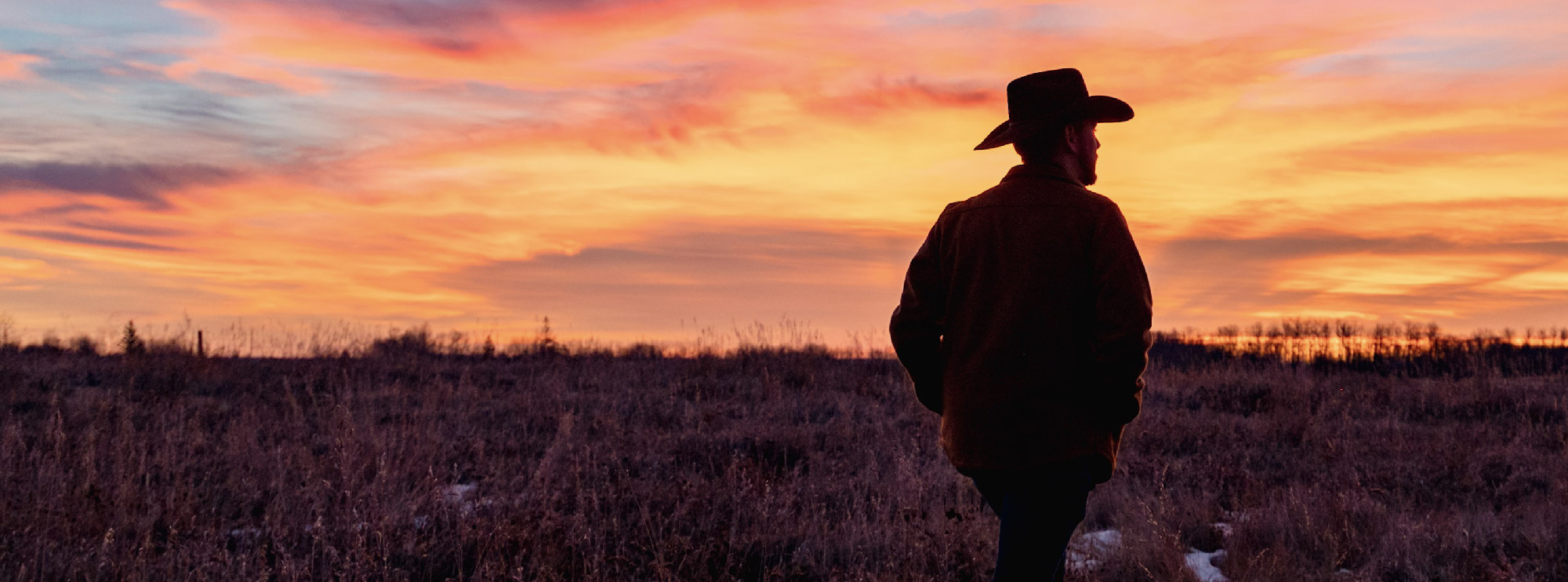 Silhouette of a cowboy standing in a field at sunset, with a vibrant orange and pink sky in the background.